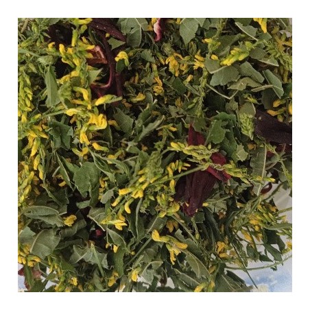 Tisane la sanguine