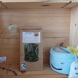 Tisane réveil matin