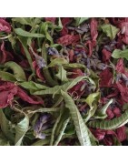 Tisane dans les bras de Morphée