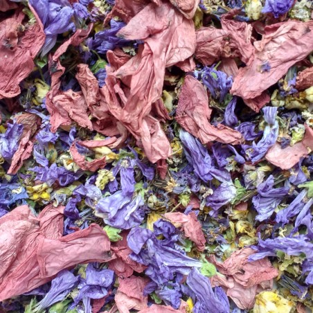 Tisane coup de froid