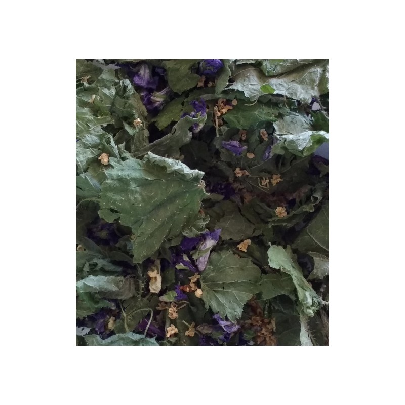 Tisane des sous-bois
