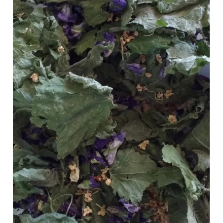 Tisane des sous-bois