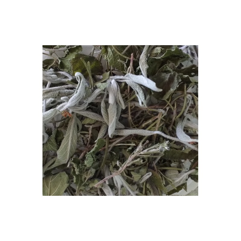 Tisane du savant