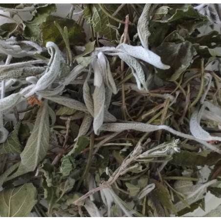 Tisane du savant