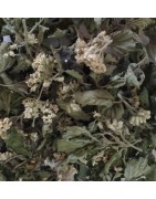 Tisane fin de repas