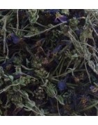 Tisane de l'hiver