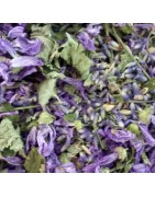 Tisane du Rouge-gorge