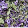 Tisane du Rouge-gorge