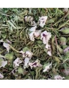 Tisane Balade dans les Alpes