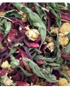 Tisane Fraicheur estivale