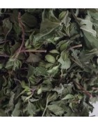 Tisane Délice citronné