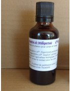 Macérat de Millepertuis