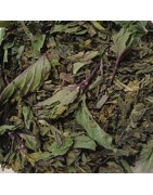 Thé vert à la menthe poivrée