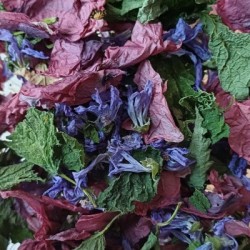 Tisane de marmotte