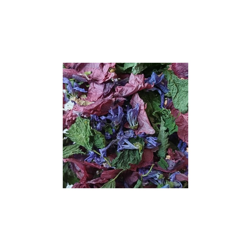 Tisane de marmotte Tisane de marmotte
