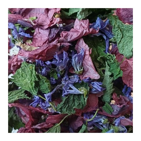 Tisane de marmotte