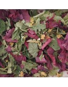 Tisane de marmotte