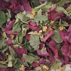 Tisane de marmotte