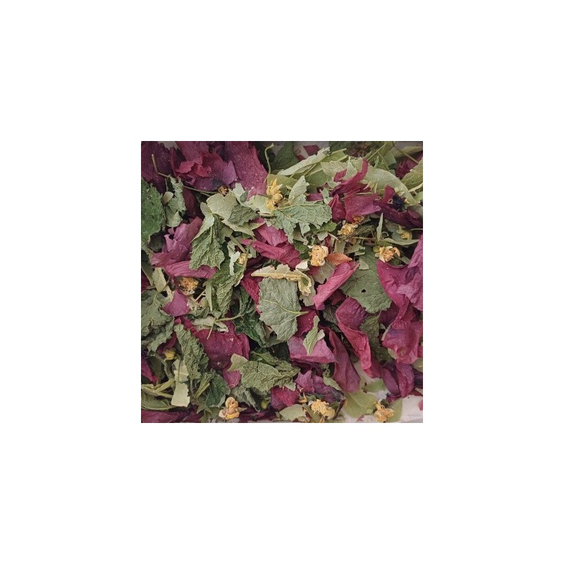 Tisane de marmotte