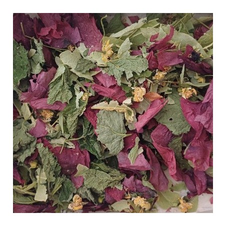 Tisane de marmotte