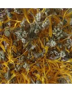 Tisane Equilibre du ventre